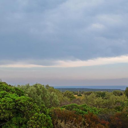 Agriturismo Su Birde Orosei Exteriér fotografie