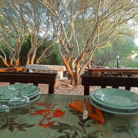 Agriturismo Su Birde Orosei Exteriér fotografie