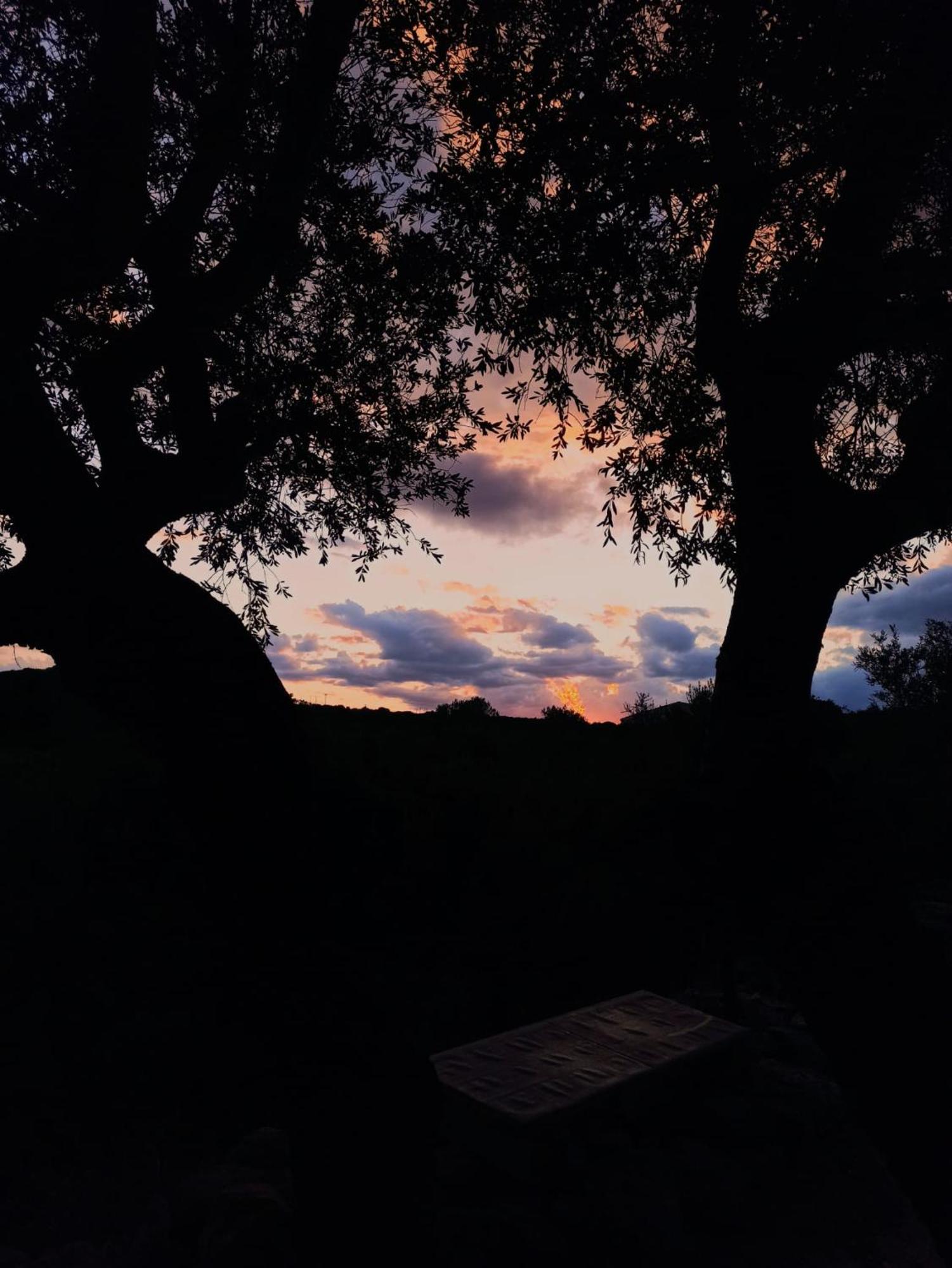 Agriturismo Su Birde Orosei Exteriér fotografie