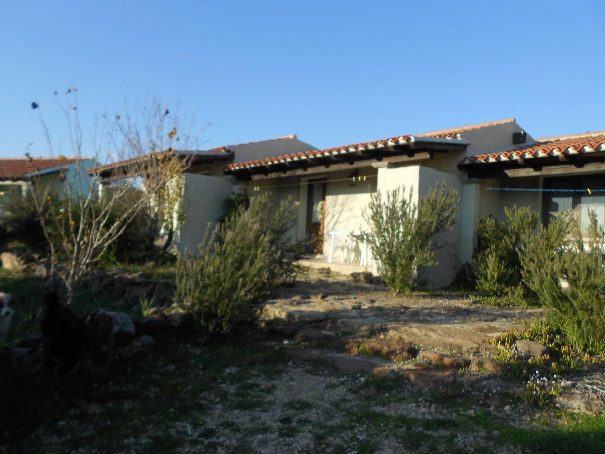 Agriturismo Su Birde Orosei Exteriér fotografie